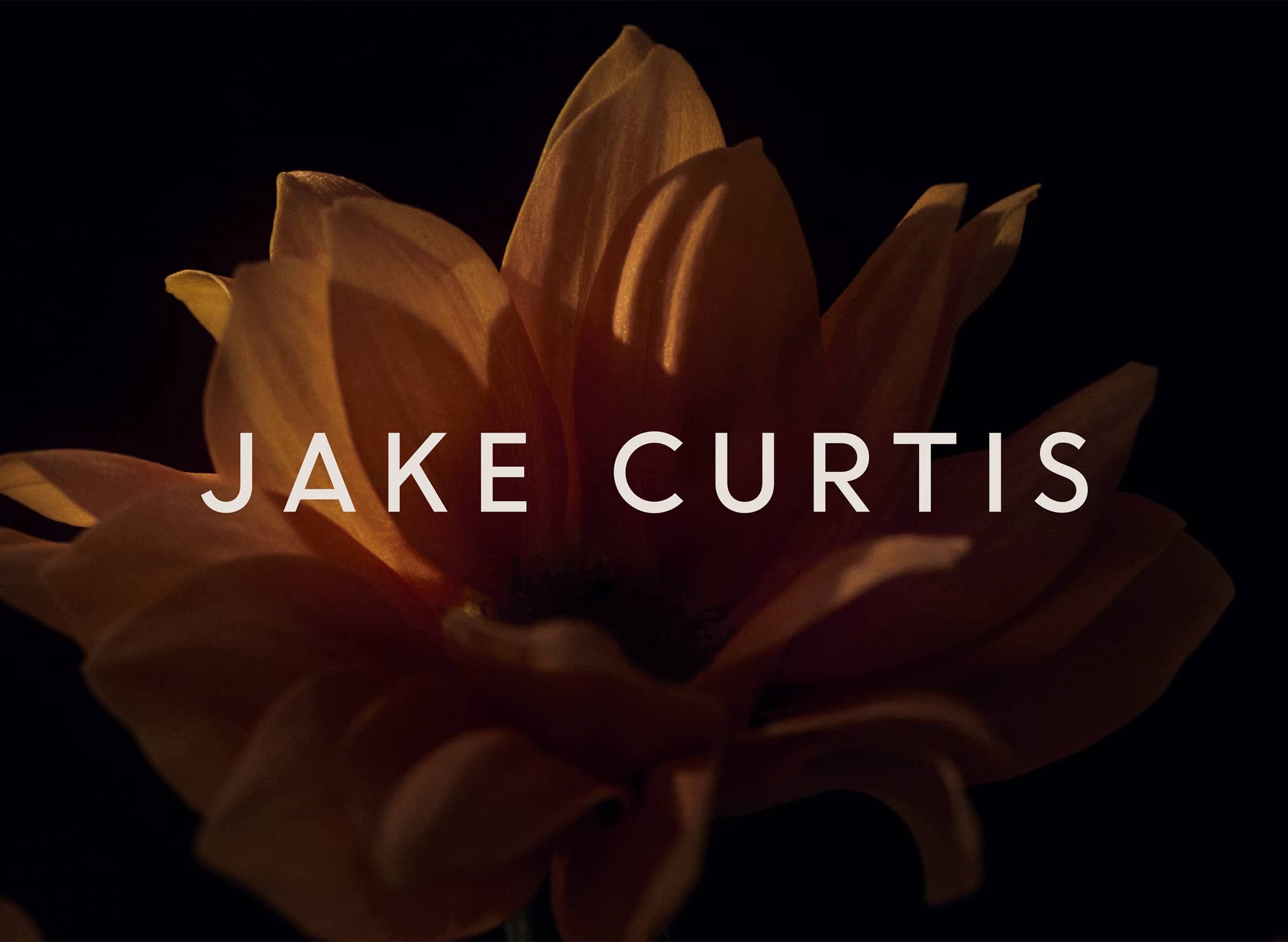 Jake Curtis - StudioSmall