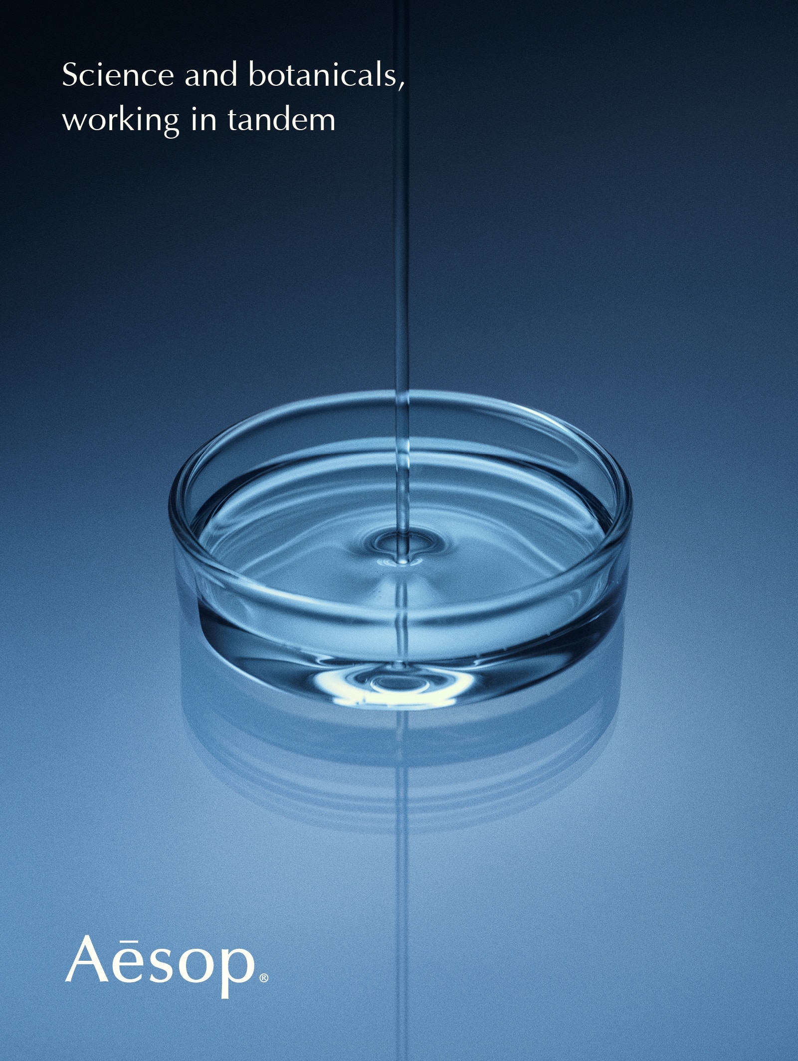 Aesop_Resolute_Casestudy_Images3