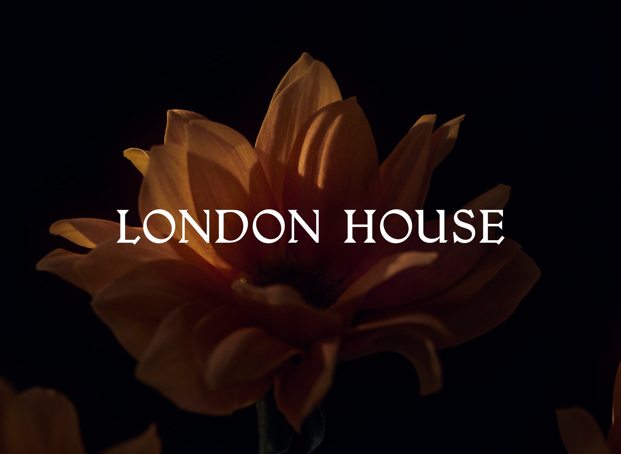 London House - StudioSmall